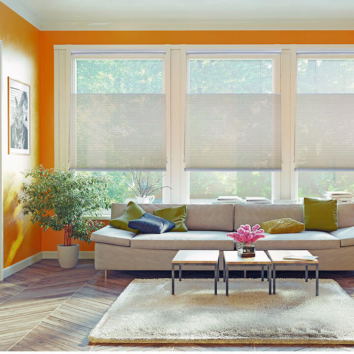 Ystad Honeycomb Blinds Sheer