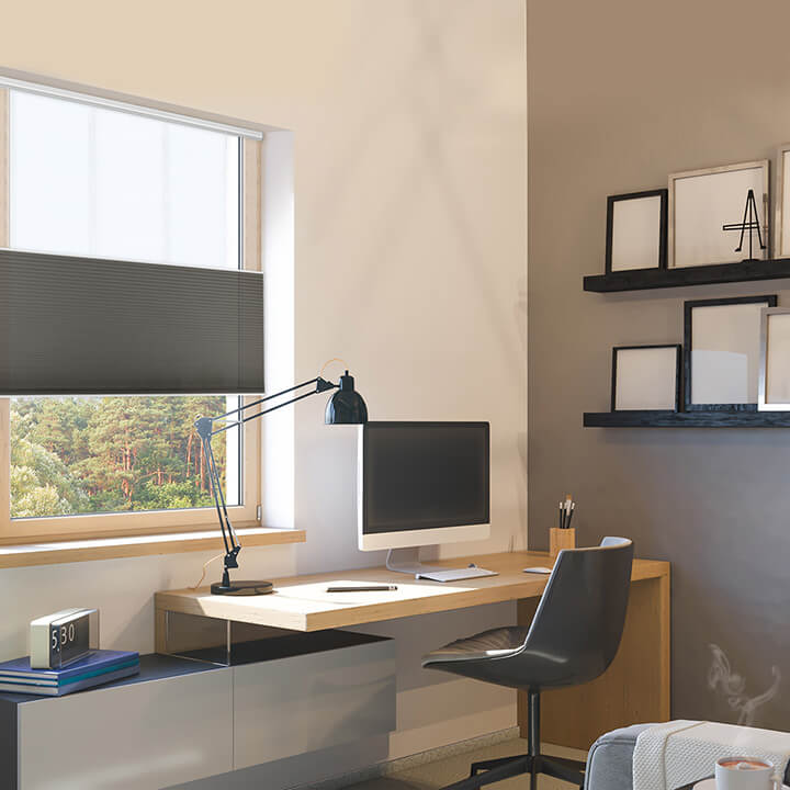 Visby Honeycomb Blinds Light-filtering